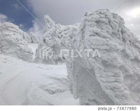 冬の八甲田山のスノーモンスター 73877980