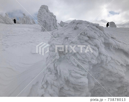 冬の八甲田山のスノーモンスター 冬の八甲田山のスノーモンスター 73878013