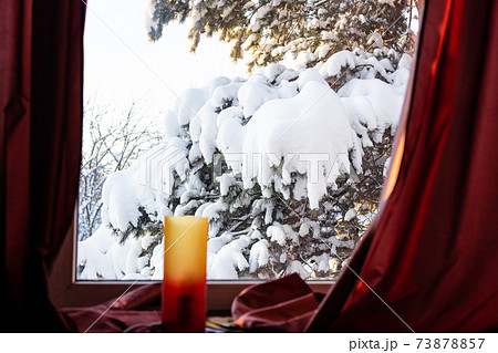 view of snowbound pine tree on backyard in window view of snowbound pine tree on backyard in window 73878857