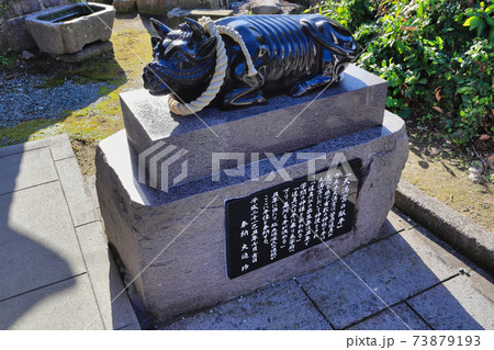 市来神社（鹿児島県いちき串木野市湊町）「天満宮の臥牛」 73879193