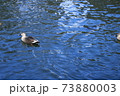 湖 湖上 一湖 73880003