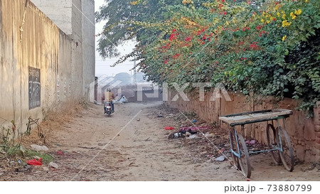 朝の小道をゆくバイク 73880799