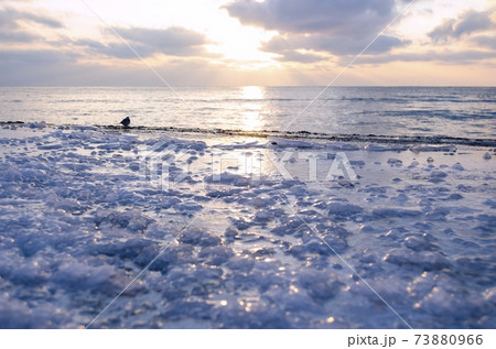 The frozen shore is covered with ice against the background of the sunset by the sea and the silhouette of a small bird The frozen shore is covered with ice against the background of the sunset by the sea and the silhouette of a small bird 73880966