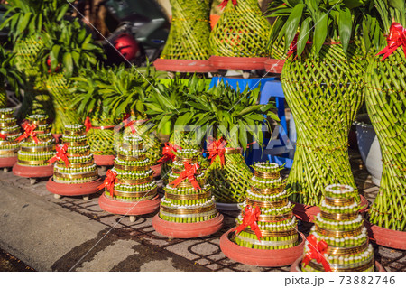 Decoration item for Lunar new year with text Happy new year in Vietnamese and wishes of all the best 73882746