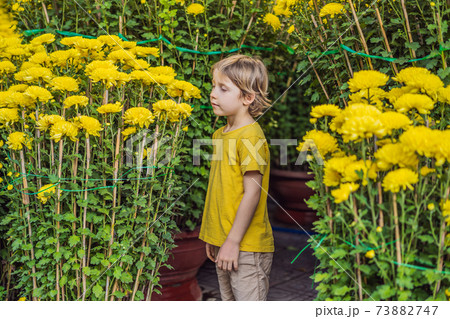 Caucasian tourist boy in Tet holidays. Vietnam Chinese Lunar New Year in springtime 73882747