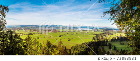 Green fields in Bavaria in Germany Green fields in Bavaria in Germany 73883931