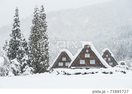 【白川郷】冬景色の三小屋 73885727
