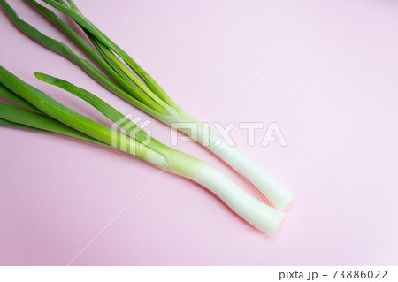 Young Green Onions, Young Green Onions, pink background 73886022