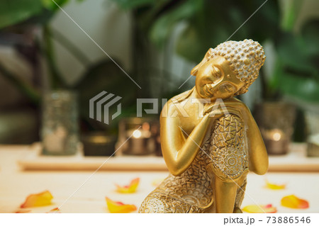 Golden bronze Buddha decorative statuette with flower petals on the wooden table with burnig candles, monstera plant background. Meditation ritual, Spirituality, buddhism and religion. Selective focus Golden bronze Buddha decorative statuette with flower petals on the wooden table with burnig candles, monstera plant background. Meditation ritual, Spirituality, buddhism and religion. Selective focus 73886546