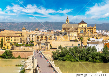 Roman Bridge in Cordoba Roman Bridge in Cordoba 73887111