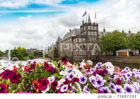 Binnenhof palace in Hague Binnenhof palace in Hague 73887293