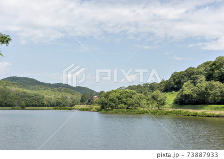 兵庫県三田市、有馬富士公園の夏景色 兵庫県三田市、有馬富士公園の夏景色 73887933
