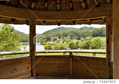 兵庫県三田市、有馬富士公園の夏景色 73887935