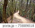 登山道　須磨アルプス縦走路 73889018
