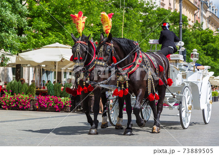 Horse carriages in Krakow 73889505