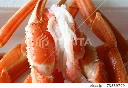 カニ おいしいズワイガニ 73889799