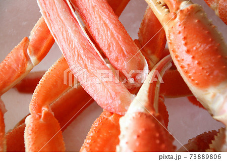 カニ ズワイガニ ハサミ カニ ズワイガニ ハサミ 73889806