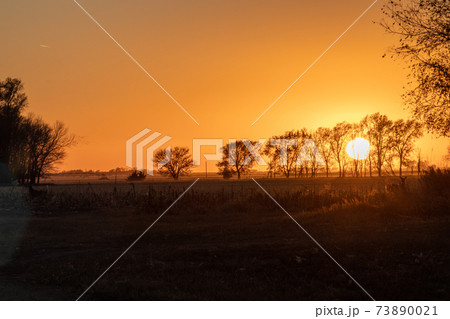 Nebraska sunset behind trees and over fields Nebraska sunset behind trees and over fields 73890021