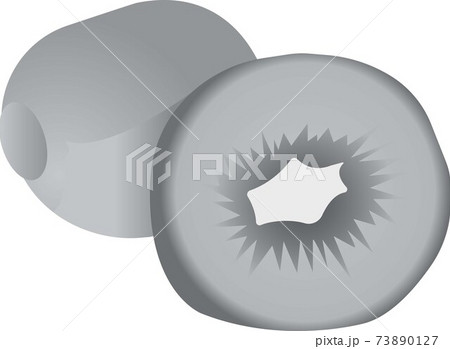 Green kiwi. Vector illustration isolated on white background. 73890127