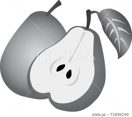 Green pear. Vector illustration isolated on white background. Green pear. Vector illustration isolated on white background. 73890240