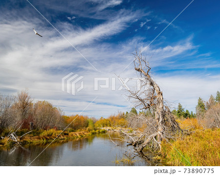 Morning landscape of the Lake Tahoe area Morning landscape of the Lake Tahoe area 73890775