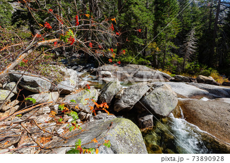 Sunny view of the Horsetail Fall Trail at Lake Tahoe 73890928