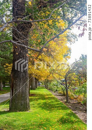 Park of the Nevada State Museum at Carson City Park of the Nevada State Museum at Carson City 73891432