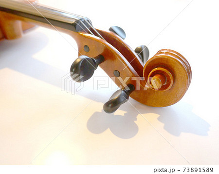バイオリンの渦巻き2 73891589
