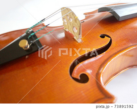近くで見たバイオリン 近くで見たバイオリン 73891592