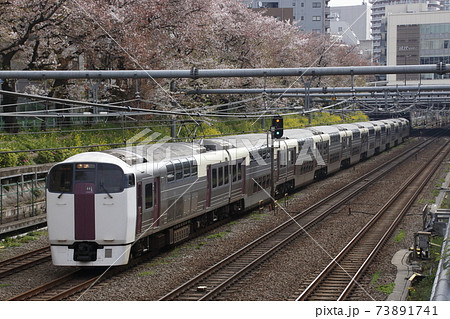 春の東中野付近を行く、ホリデー快速ビューやまなし号 73891741