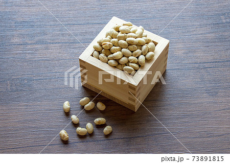 節分 節分 73891815
