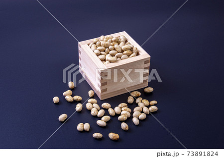 節分 節分 73891824