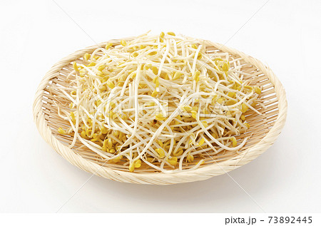 豆モヤシ 豆モヤシ 73892445