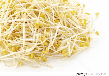 豆モヤシ 73892459