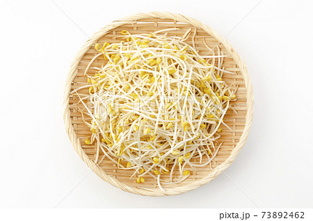 豆モヤシ 73892462