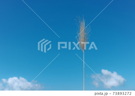 空 エーテル 大空 73893272