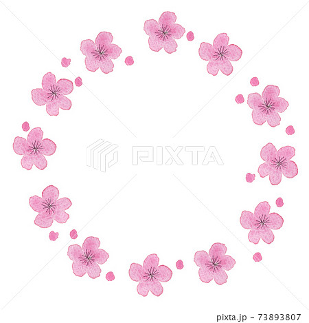 ピンク色の梅の花のリースの水彩イラストのイラスト素材
