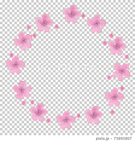 ピンク色の梅の花のリースの水彩イラスト ピンク色の梅の花のリースの水彩イラスト 73893807