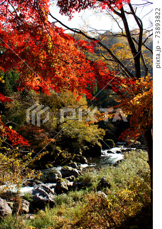大分の紅葉の名所 陽目渓谷、白水の滝 大分の紅葉の名所 陽目渓谷、白水の滝 73893822