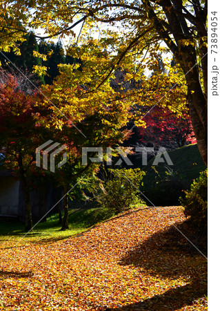 大分の紅葉の名所　陽目渓谷（陽目の里キャンピングパーク） 73894054