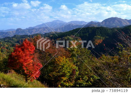 大分の紅葉の名所 陽目渓谷(陽目渓谷展望所)の景観 大分の紅葉の名所 陽目渓谷(陽目渓谷展望所)の景観 73894119