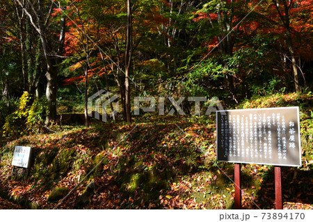 大分の紅葉の名所 陽目渓谷、白水の滝 大分の紅葉の名所 陽目渓谷、白水の滝 73894170