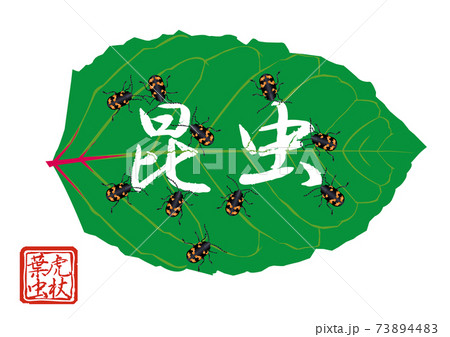 カジリ文字 イタドリハムシ筆「昆虫」 カジリ文字 イタドリハムシ筆「昆虫」 73894483