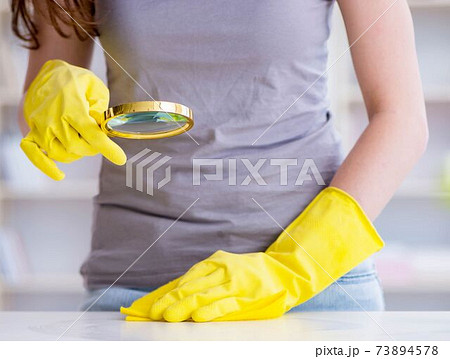 Woman doing cleaning at home 73894578