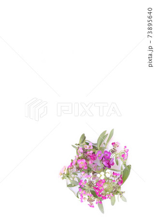 春の小花（スイートアリッサム） 73895640