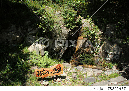 猪名川の源流 猪名川の源流 73895977