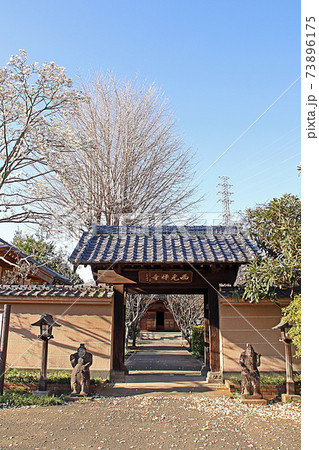 西光寺（坂戸） 73896175