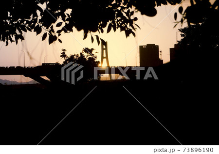 夜 ナイト 旅行 73896190