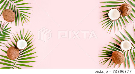 Pattern, frame borders with coconuts and tropical palm leaves on pink background. Tropical abstract background. Flat lay, top view. 73896377