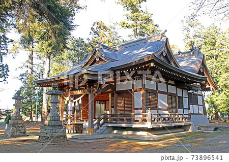 大宮住吉神社（坂戸） 73896541